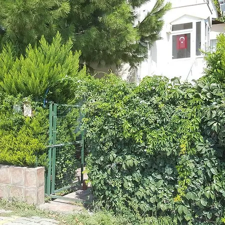 Villa Piero , *