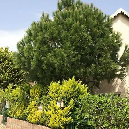 Piero ,
